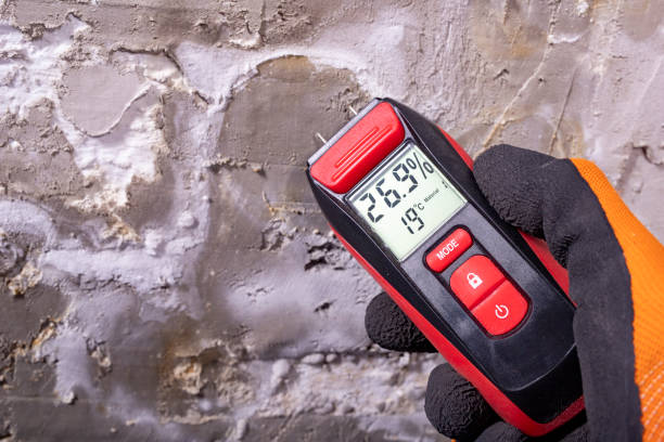 Best Mold Remediation for Schools in Howards Grove, WI