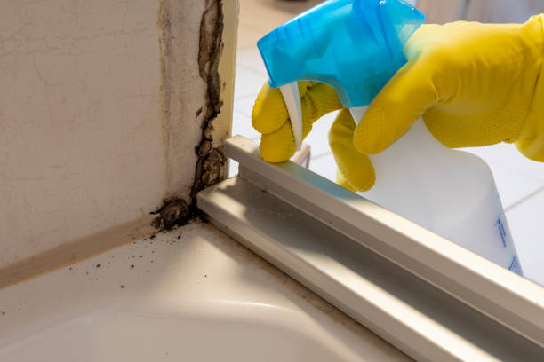 Professional Mold Remediation in Howards Grove, WI